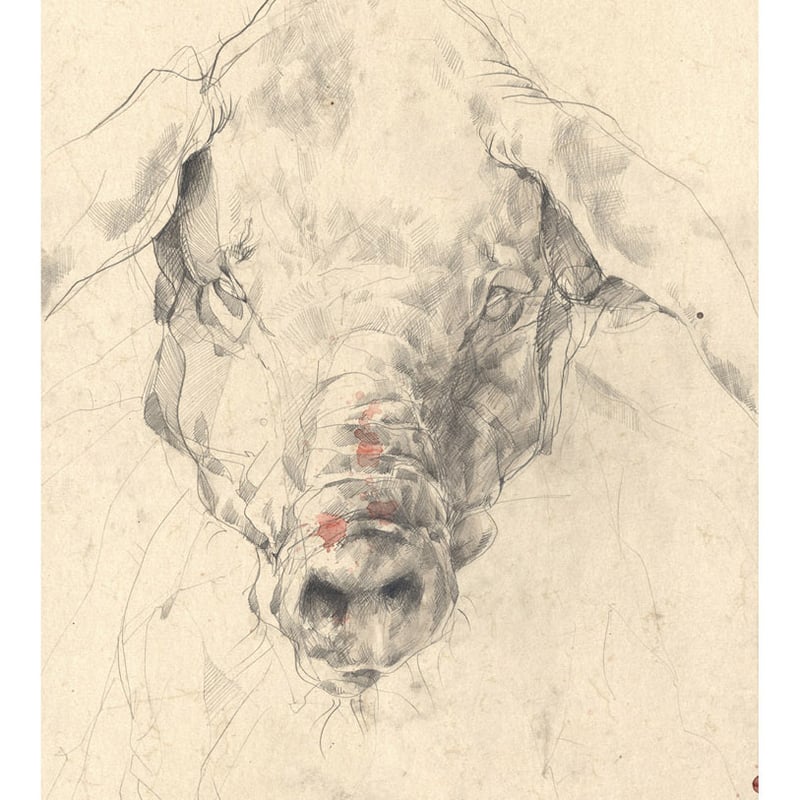 SCHWEIN 23 - Art Print