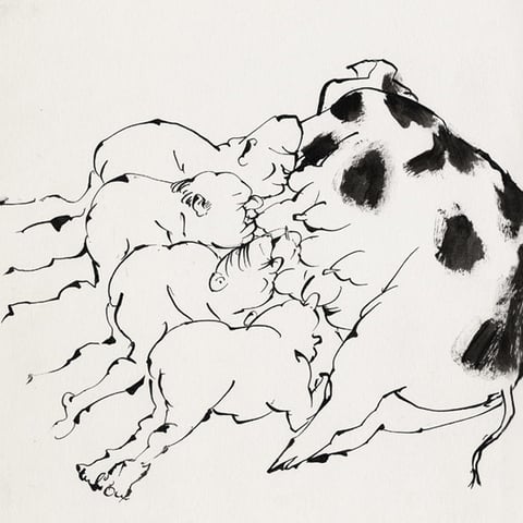 Bunte Bentheimer - Art Print