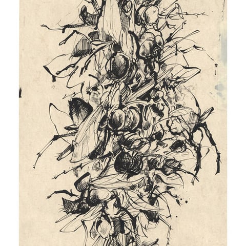 FLIEGENLEINE - Art Print