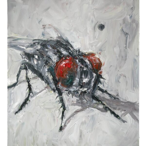 The Daily Fly - Art Print - Image 3