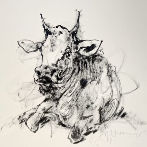 Sine Koh - Original