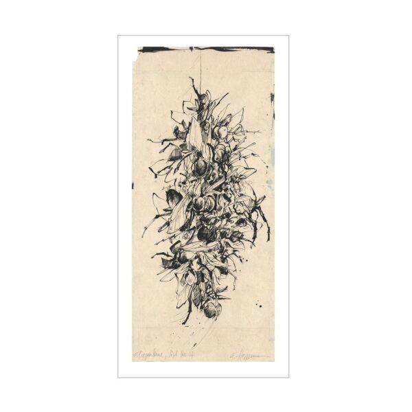 FLIEGENLEINE - Art Print - Image 1