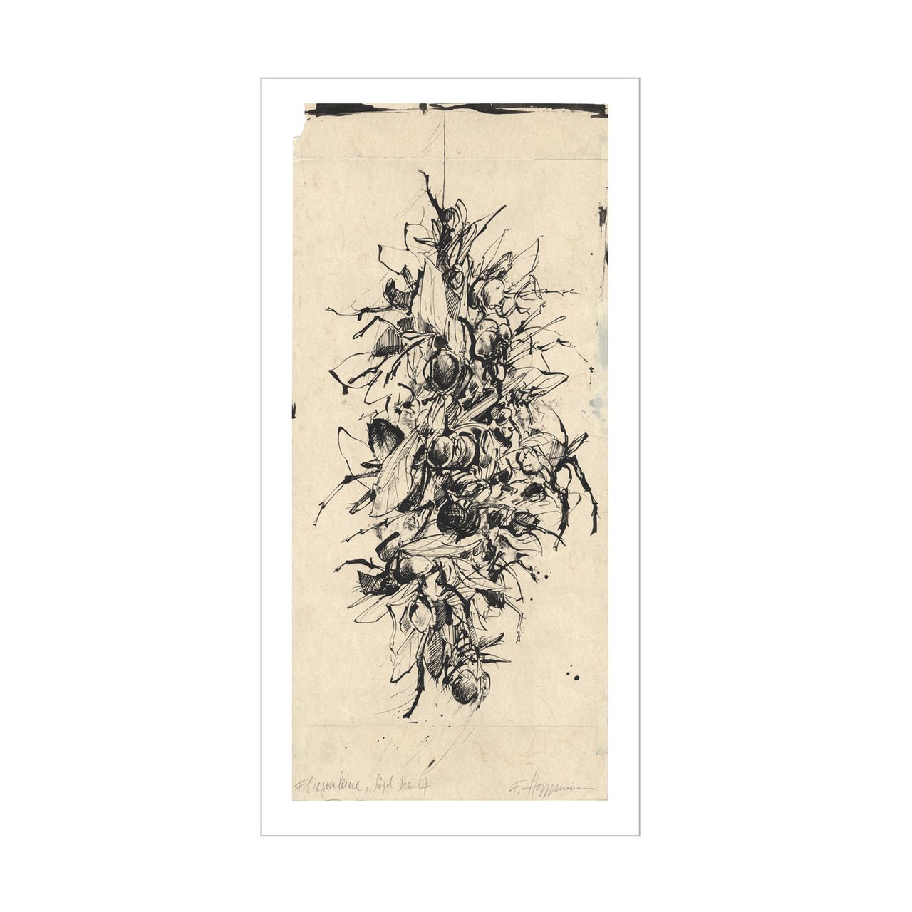 FLIEGENLEINE - Art Print - Image 1