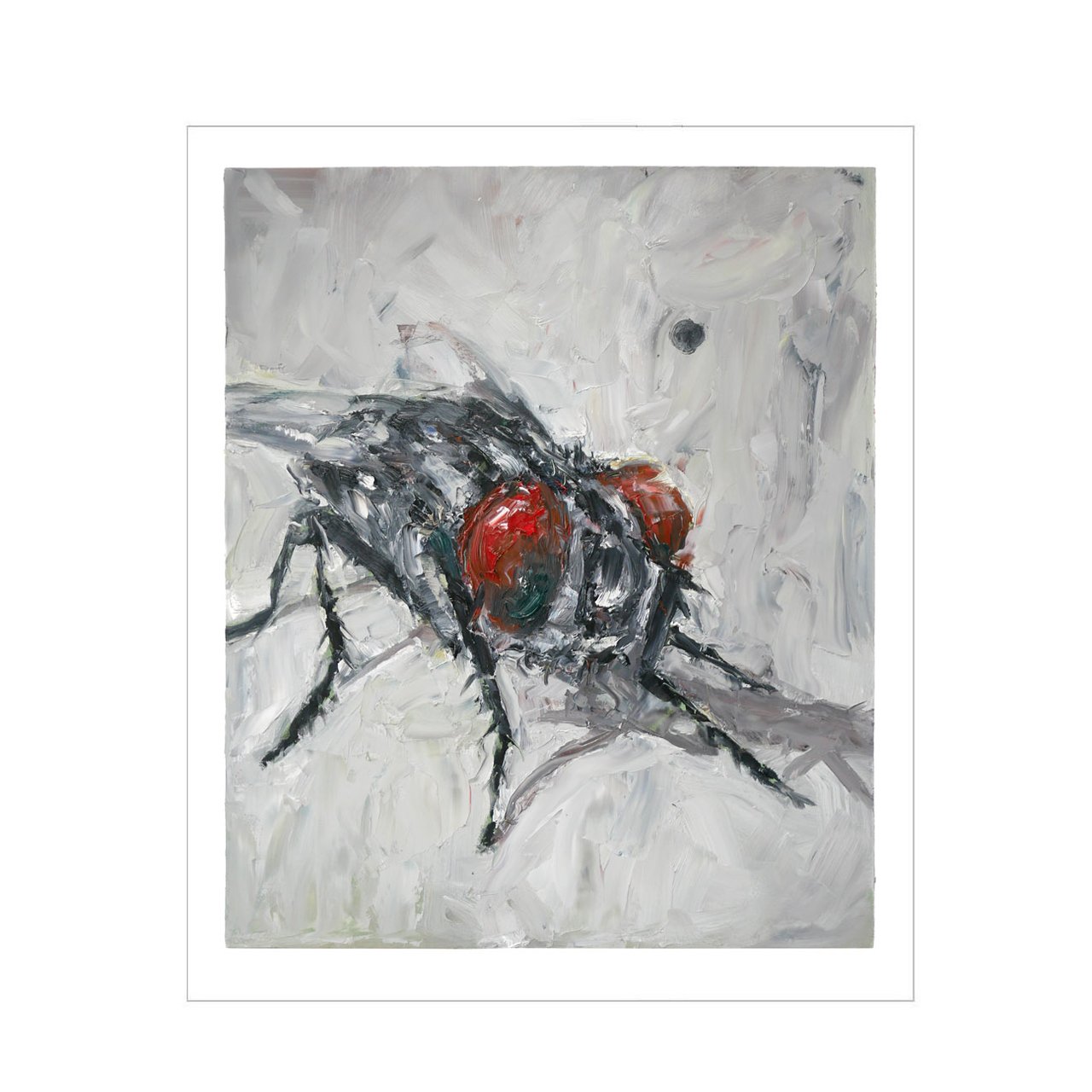 The Daily Fly - Art Print - Image 1