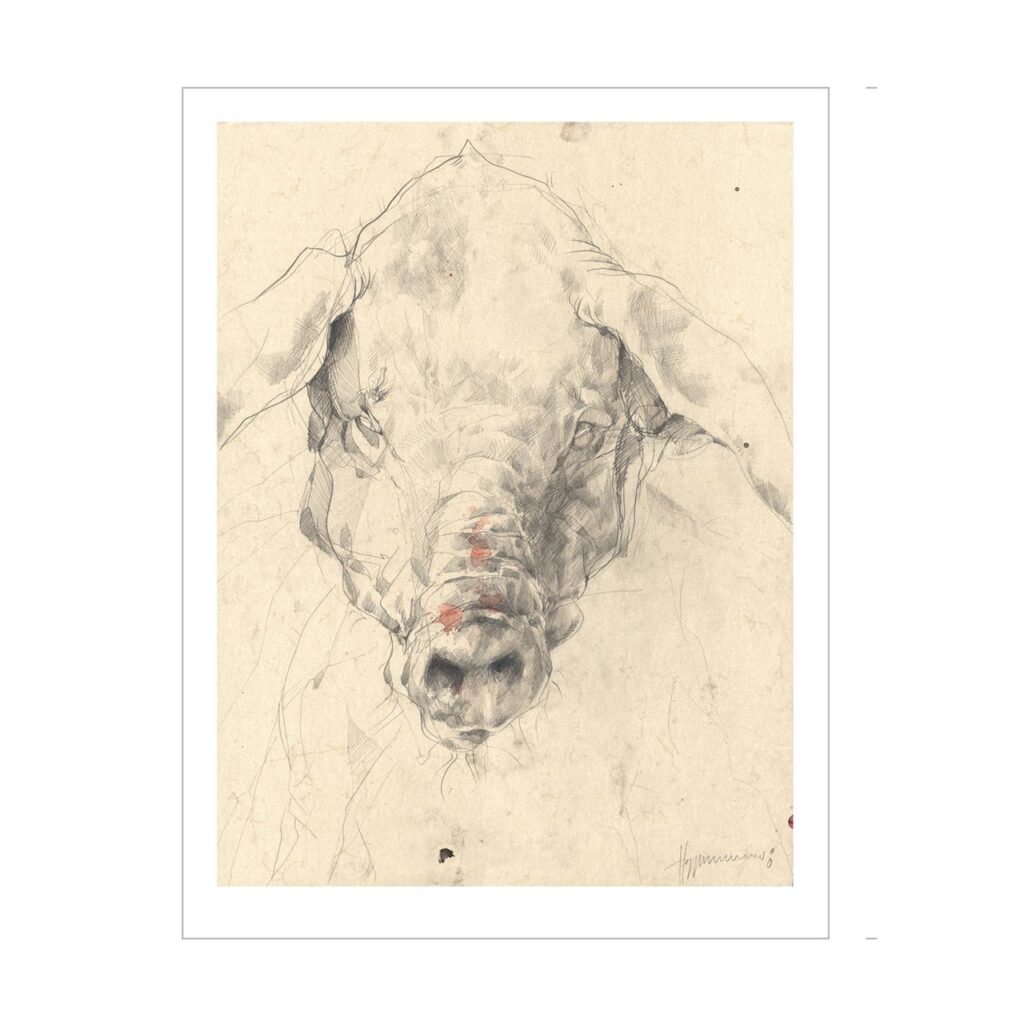 SCHWEIN 23 - Art Print