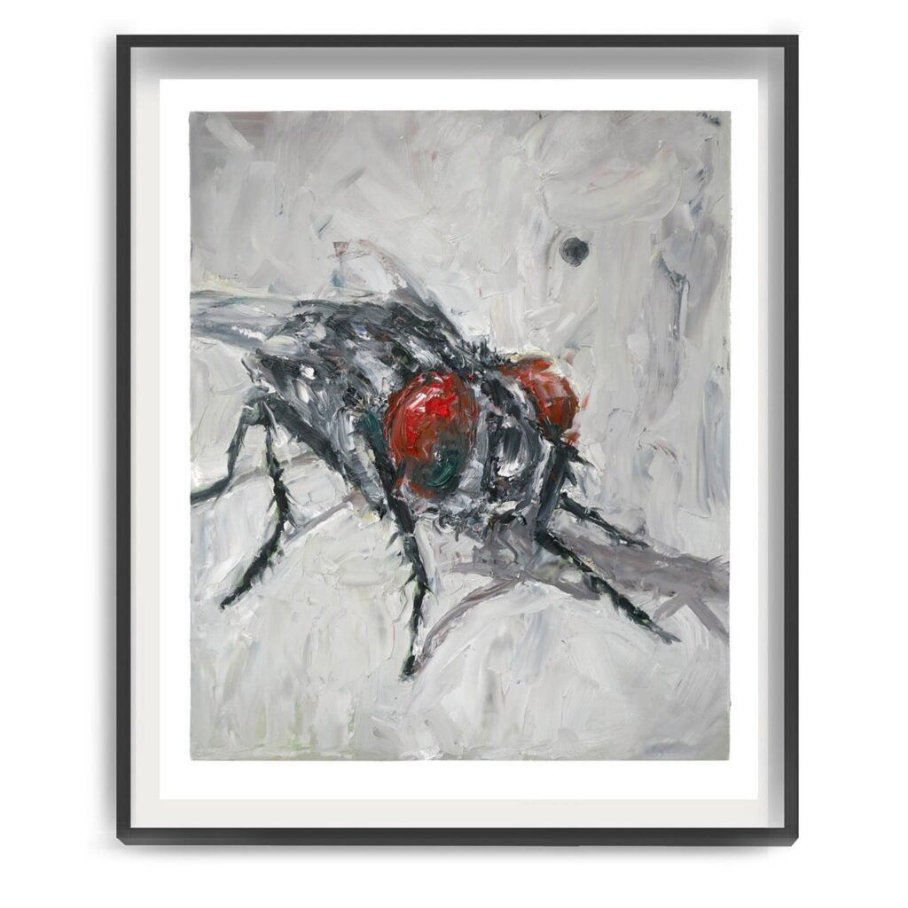 The Daily Fly - Art Print